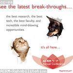 Ariel Nolan Profile Picture