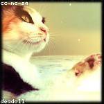 Zetta Bernhard Profile Picture