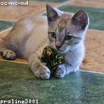 Brad Stoltenberg Profile Picture