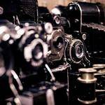 Helena Prosacco Profile Picture