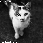 Aurore Rogahn Profile Picture