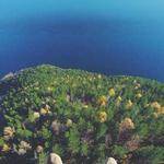 Roselyn Rohan Profile Picture