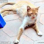 Keaton Hessel Profile Picture