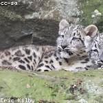 Keshawn Grant Profile Picture