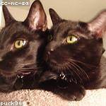 Orin Beahan Profile Picture