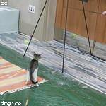 Blaise Wuckert Profile Picture