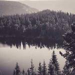 Russ Bernhard Profile Picture