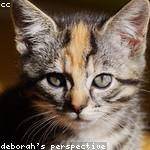 Margarete Jenkins Profile Picture