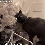 Natalia Kling Profile Picture