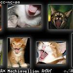 Green Parker Profile Picture