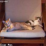 Jairo Halvorson Profile Picture