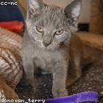 Myrtis Corwin Profile Picture