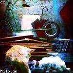 Sterling Osinski Profile Picture