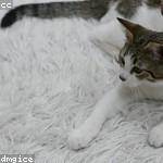 Felicia Barton Profile Picture