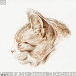 Hailie Luettgen Profile Picture