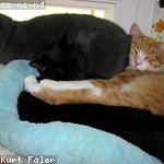 Lisandro Crist Profile Picture