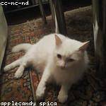 Jonathon Weissnat Profile Picture