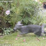 Allen Hoeger Profile Picture