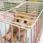 Ethan Yundt Profile Picture