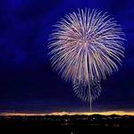 Reginald Howell Profile Picture