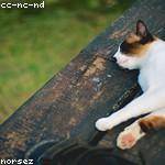 Andre Lang Profile Picture