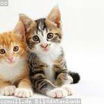 Heloise Sporer Profile Picture