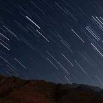 Betty Heidenreich Profile Picture