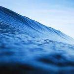 Matilde Lindgren Profile Picture