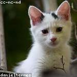 Eldon DuBuque Profile Picture