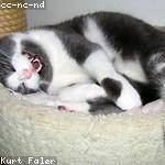 Lenora Kutch Profile Picture