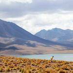 Summer Zboncak Profile Picture