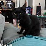 Desiree Konopelski Profile Picture