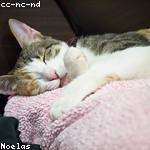 Ashly Auer Profile Picture