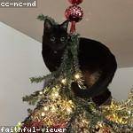 Jaden Buckridge Profile Picture