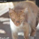 Reta Gorczany Profile Picture