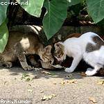 Delores Oberbrunner Profile Picture