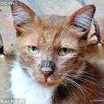 Wilbert Lind Profile Picture