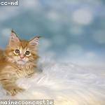 Evalyn Effertz Profile Picture