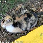 Raleigh Zulauf Profile Picture