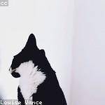 Haylie Sawayn Profile Picture