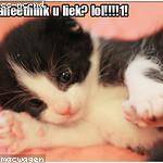 Orville Bartoletti Profile Picture