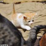 Keara Bauch Profile Picture