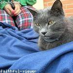 Ismael Bosco Profile Picture