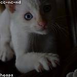 Lazaro Schulist Profile Picture