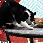 Damaris Goodwin Profile Picture