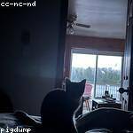 Liana Collier Profile Picture