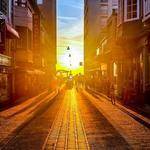 Sheila Hayes Profile Picture