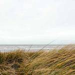 Vivien Flatley Profile Picture