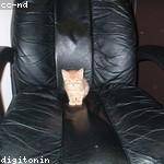 Tyrique Hermann Profile Picture