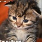 Theresia Keeling Profile Picture